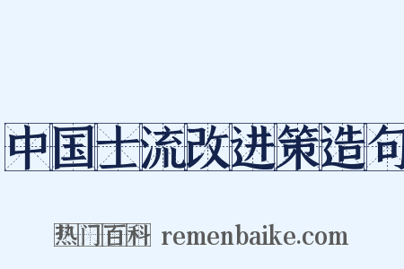 中国士流改进策造句是什么意思的图片